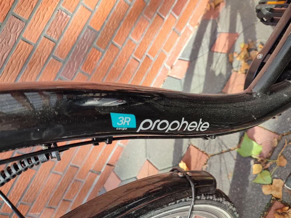 Fahrrad verkaufen PROPHETE Cargo E-Dreirad Ankauf